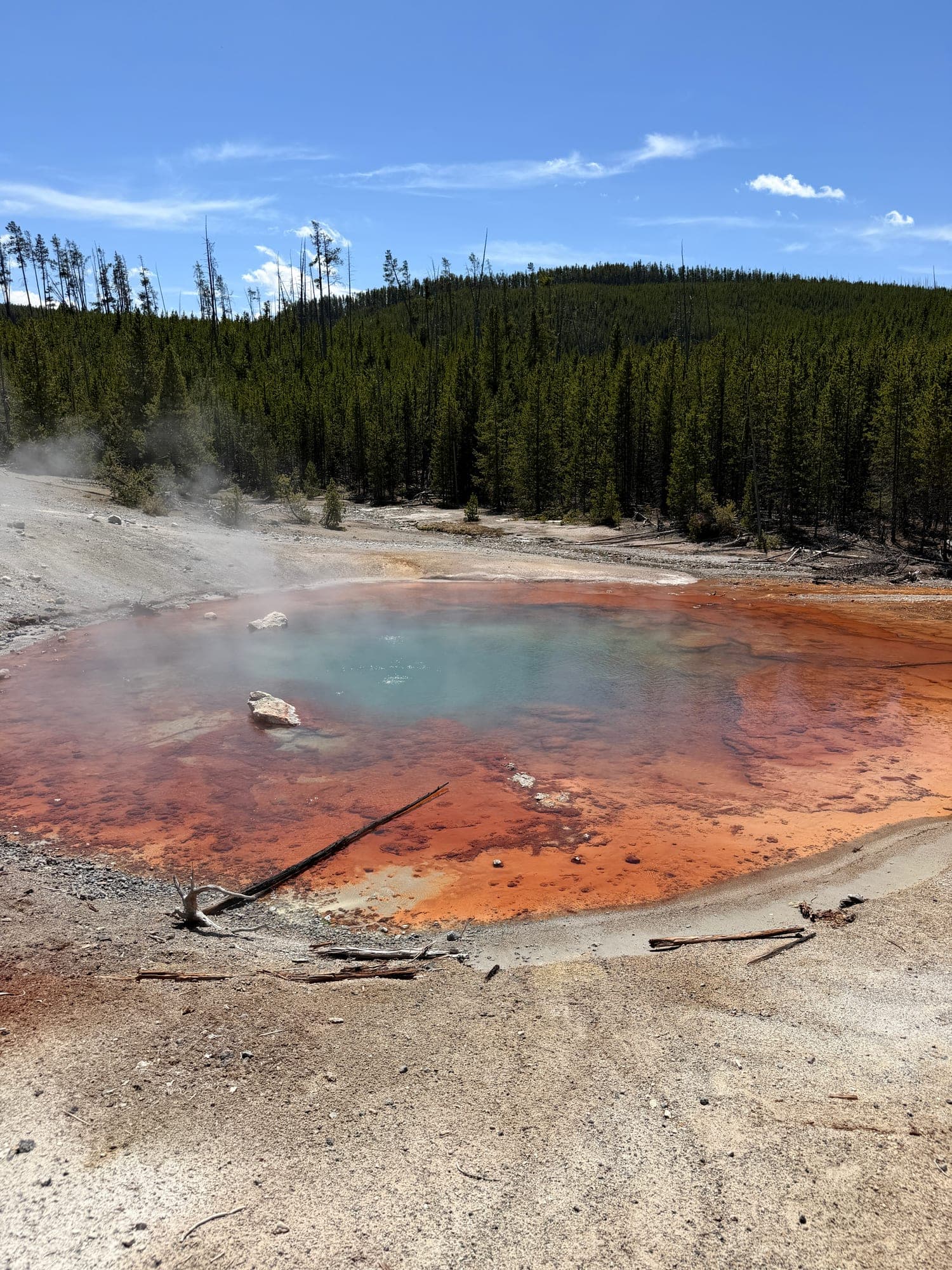 A steaming hot spring with a turquoise centre and rust-orange edges, pine forest behind